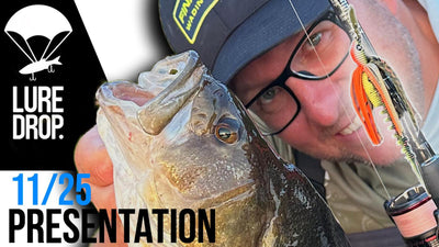 Unboxing LURE DROP 11 | 2025 France